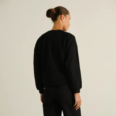 Dedicated 23767 Sweatshirt Ystad Painted Swans Black