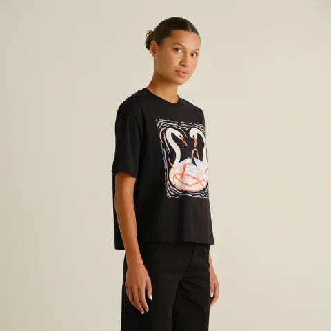 Dedicated 23809 T-shirt Vadstena Painted Swans Black