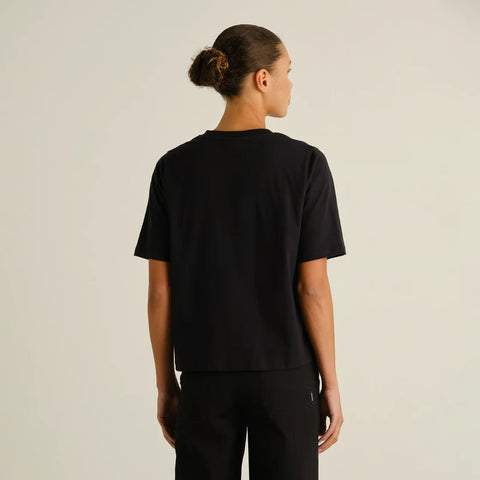 Dedicated 23809 T-shirt Vadstena Painted Swans Black