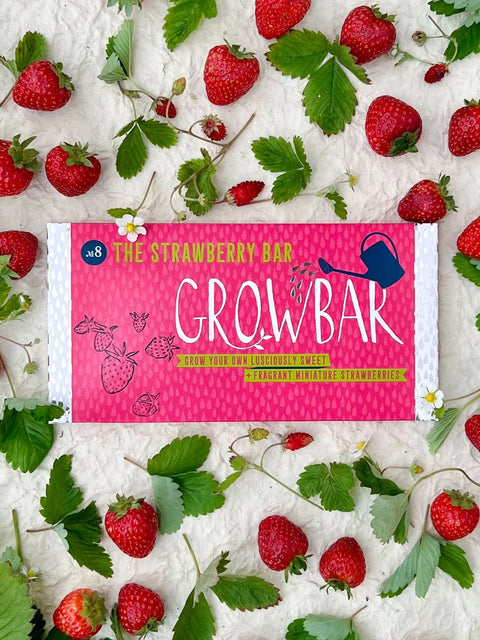 Growbar Strawberry Bar