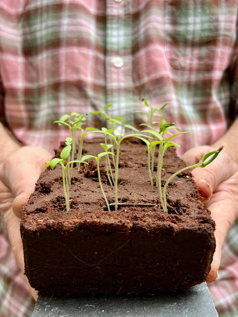 Growbar Space Bar