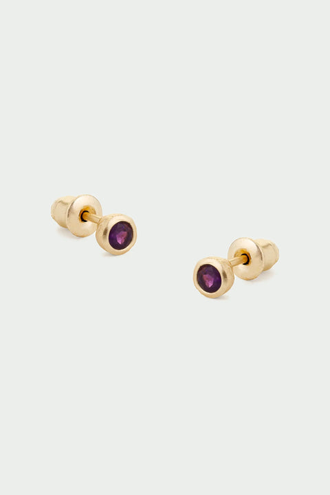 Tutti & Co EA533G Birthstone Stud Earrings (amethyst)