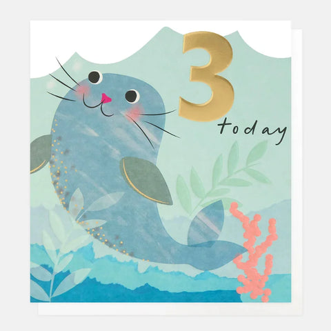 Caroline Gardner Cards BUB003 3 Today Seal with Coral Card
