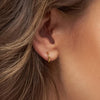 LULU Copenhagen LULU1290 Color Hoop Hoops In Gold Plated