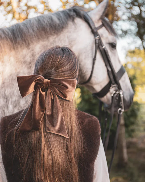 Chalk Bury Velvet Large Bow Hair Clip In Bear Brown