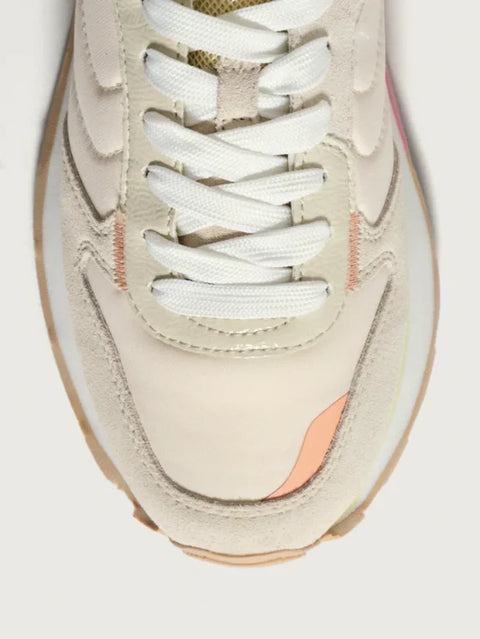 Hoff Troezen Trainer