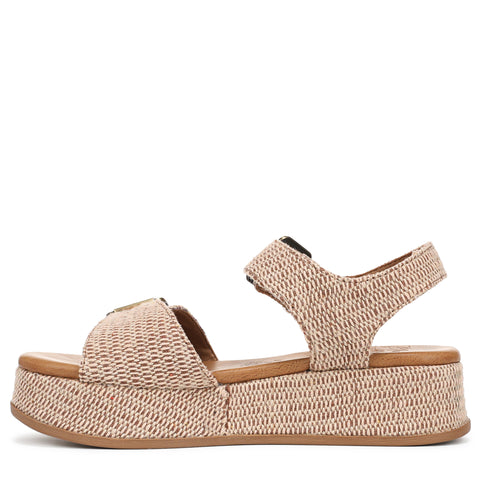 Blowfish Magical In Natural