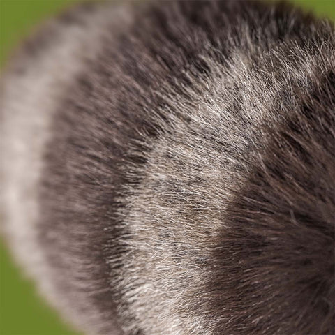 Jellycat RA3CN Trixiwoo Raccoon