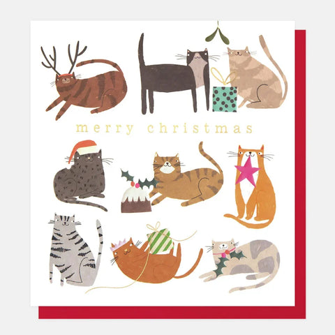 Caroline Gardner Cards SGX005 Merry Christmas Cats Festive Activities