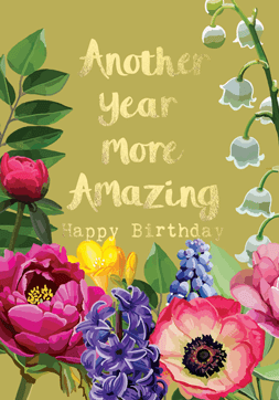 Sarah Kelleher FF119 Another Year More Amazing Happy Birthday Card