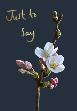 Sarah Kelleher IB13 Just To Say Card