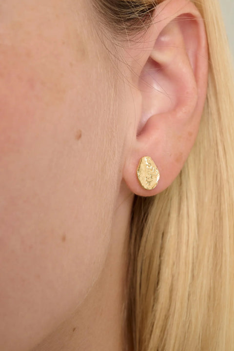 Tutti & Co EA753G Diffuse Earrings