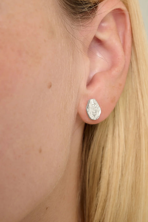 Tutti & Co EA753S Diffuse Earrings