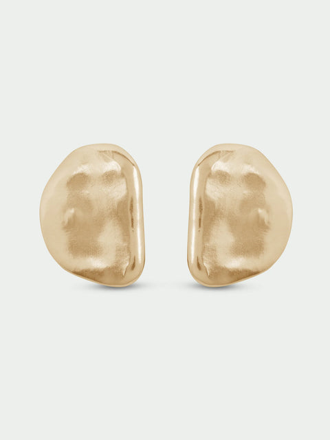 Tutti & Co EA796G Vine Earrings