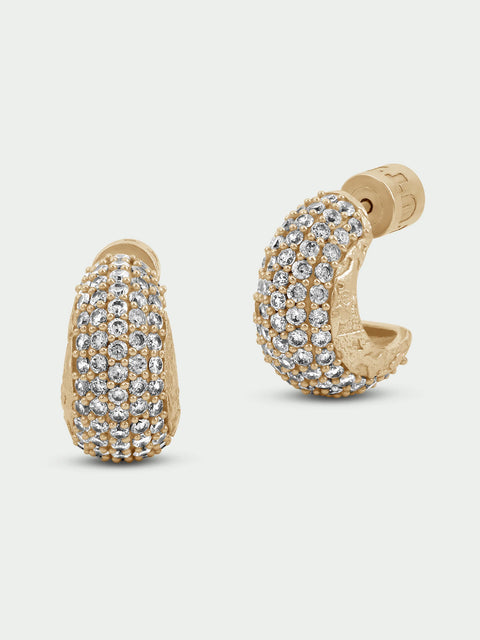 Tutti & Co EA800G Glint Earrings
