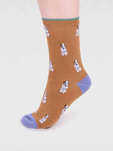 Thought SPW798 Kenna Bamboo Dog Socks in Straw Yellow