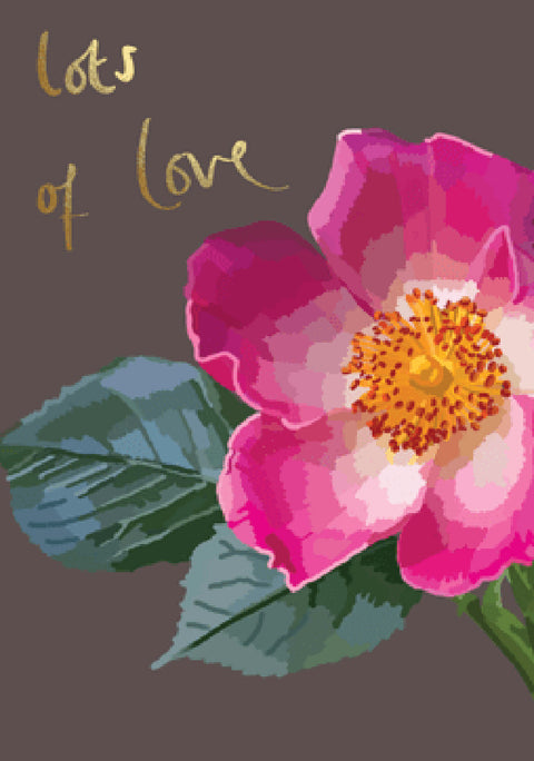 Sarah Kelleher IB12 lots of love card
